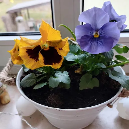 Διαμέρισμα Im Herzen Sachsens