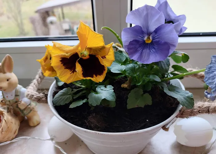 Apartment Im Herzen Sachsens